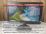 Монитор 20" Philips 201BL2, VGA, DVI, USB, звук "!"